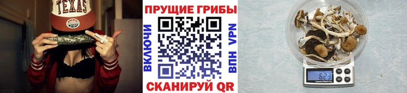 купить закладку  Нягань  Псилоцибиновые грибы MAGIC MUSHROOMS 